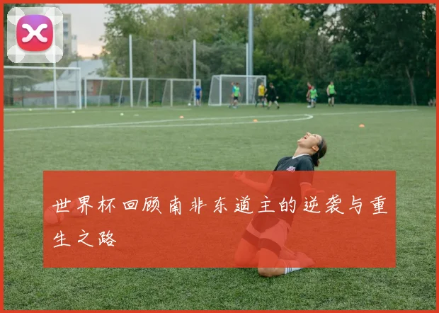 世界杯回顾南非东道主的逆袭与重生之路