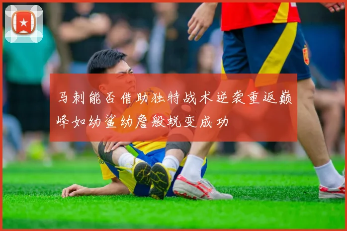 马刺能否借助独特战术逆袭重返巅峰如幼鲨幼詹般蜕变成功